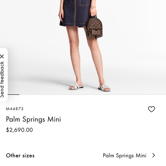 Louis Vuitton Palm Springs Mini - Picture 15 of 15